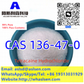 CAS 136-47-0 Hydrochloride HCl           Procaine Tetracaine 1